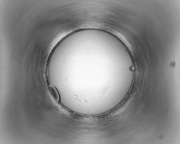 X0000093390901200711011308