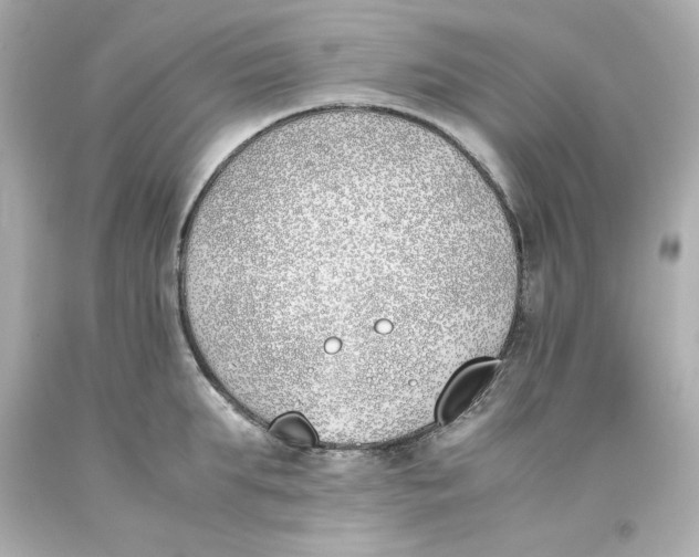 X0000093390903200711011308