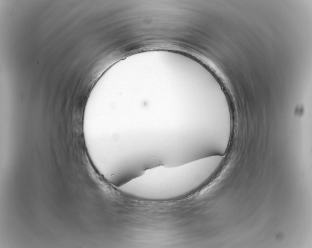 X0000093390905200711011308