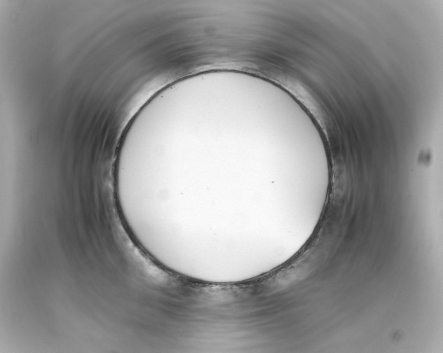 X0000093390906200711011308