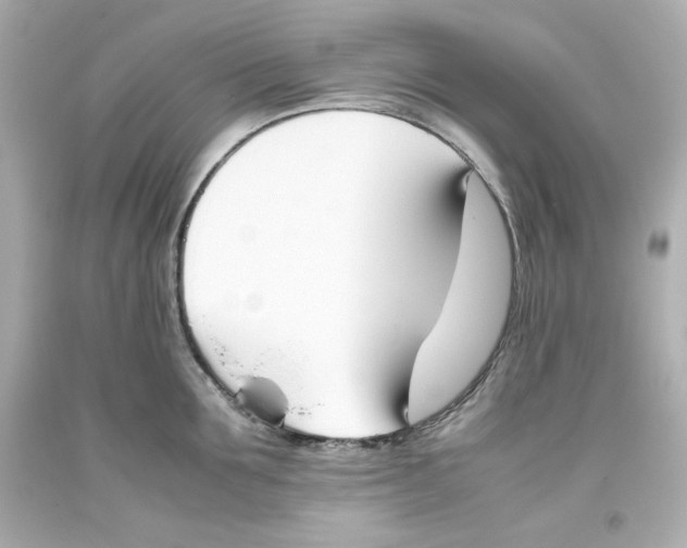 X0000093390907200711011308