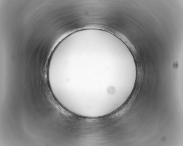 X0000093390908200711011308