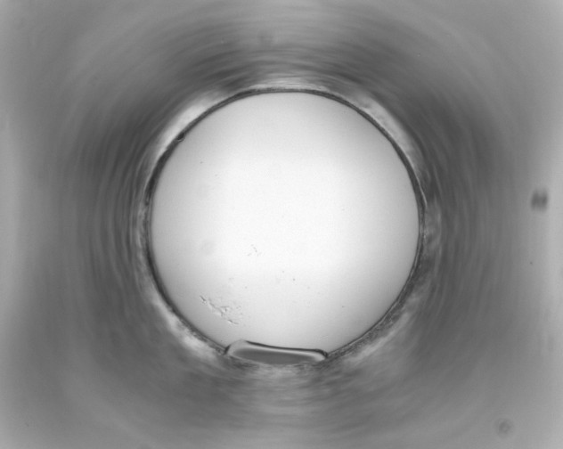 X0000093390909200711011308