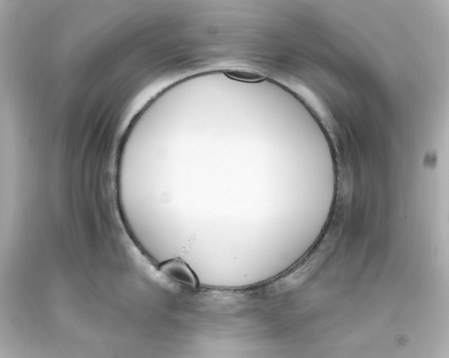 X0000093390910200711011308