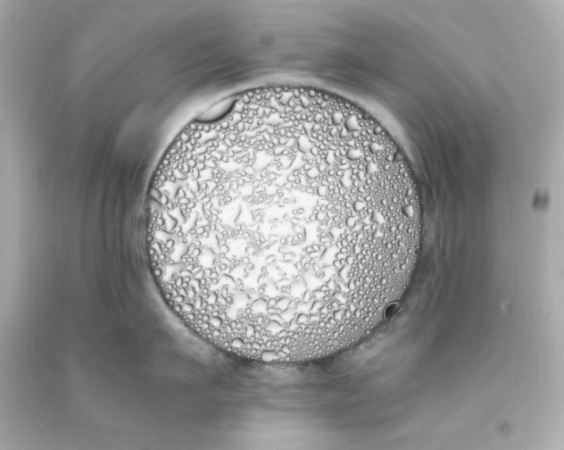 X0000093390911200711011308