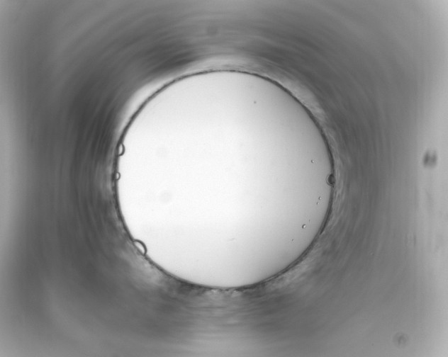 X0000093390912200711011308