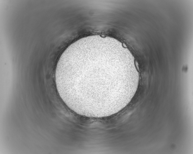 X0000093390913200711011307