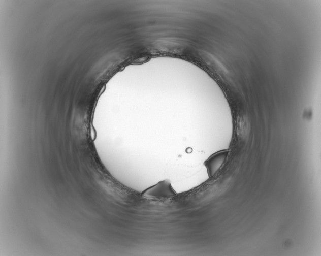 X0000093390915200711011307