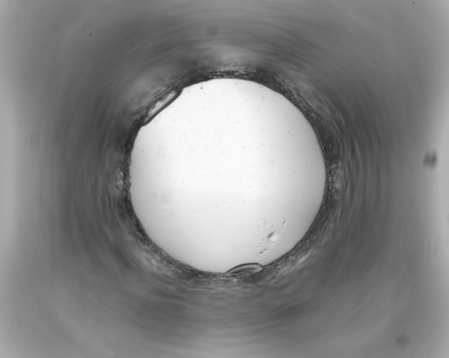 X0000093390916200711011307