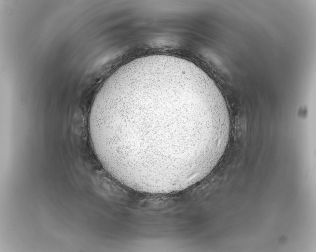 X0000093390917200711011307