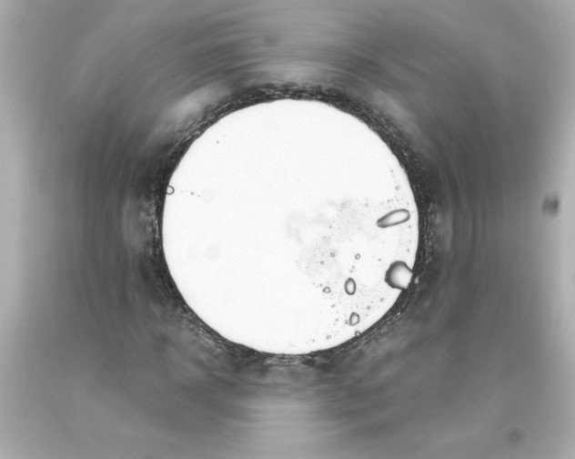 X0000093390918200711011307