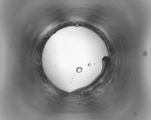 X0000093390919200711011307