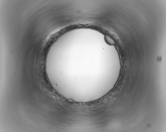 X0000093390920200711011307