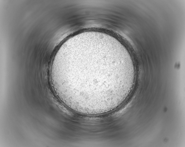 X0000093390921200711011307