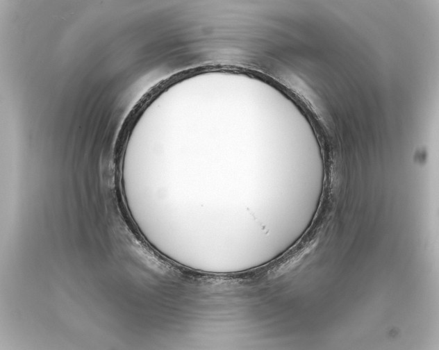 X0000093390924200711011307