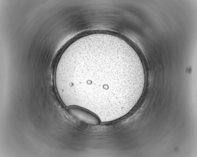 X0000093390925200711011308