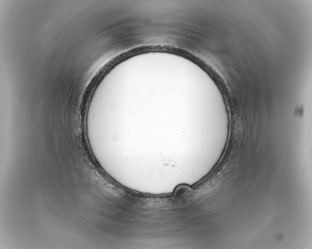 X0000093390927200711011308