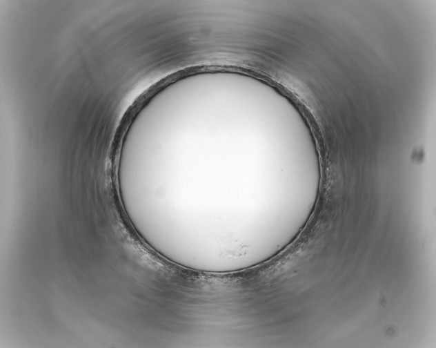 X0000093390928200711011308