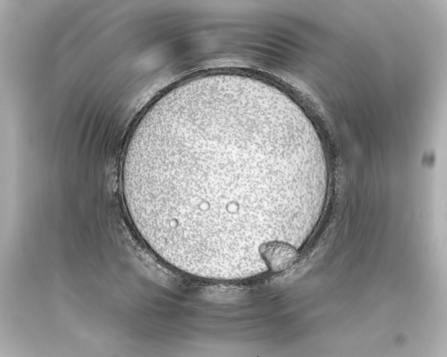 X0000093390929200711011308