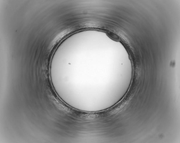 X0000093390930200711011308