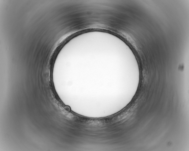 X0000093390931200711011308