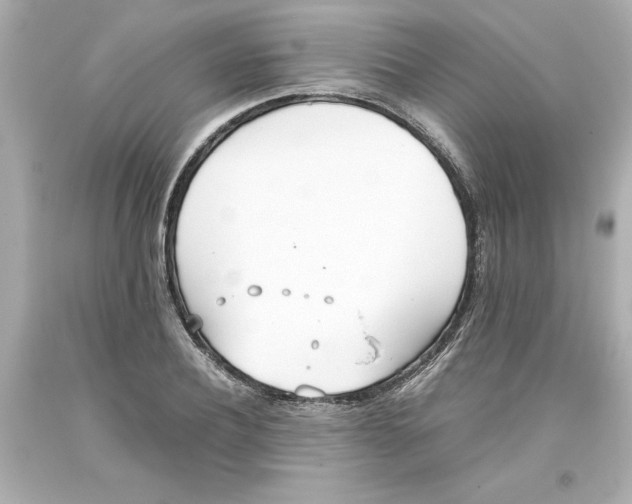 X0000093390932200711011308