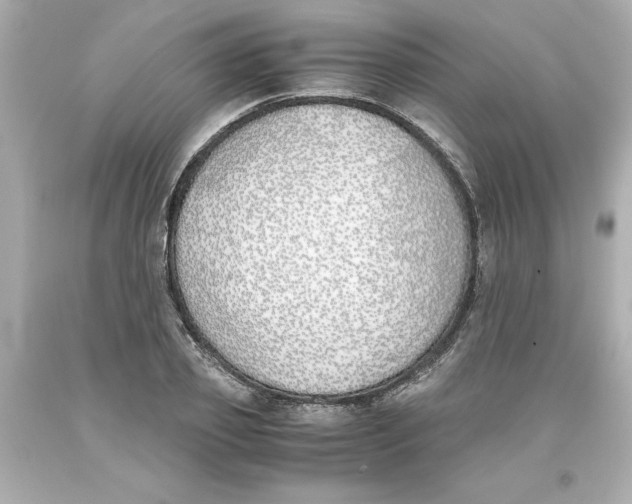 X0000093390933200711011308