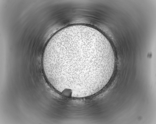 X0000093390937200711011308