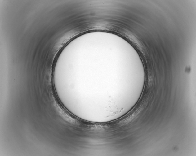 X0000093390938200711011308