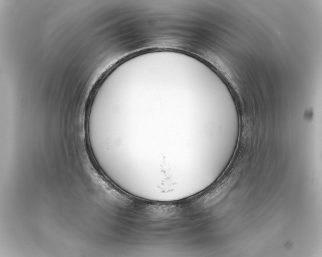 X0000093390939200711011308