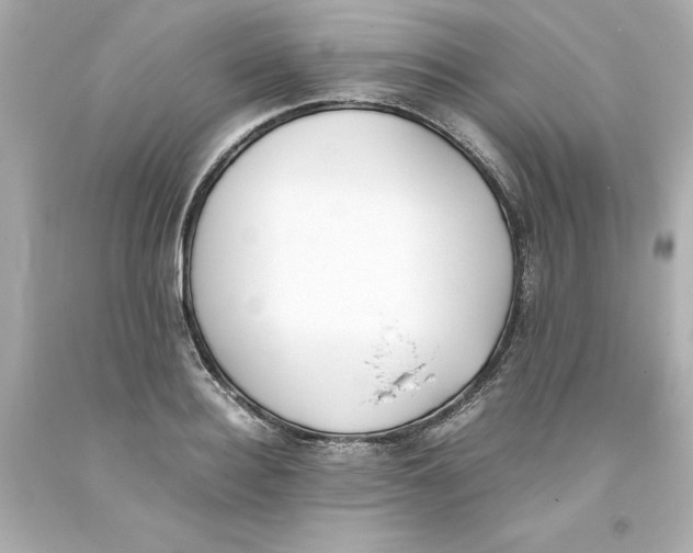 X0000093390940200711011308