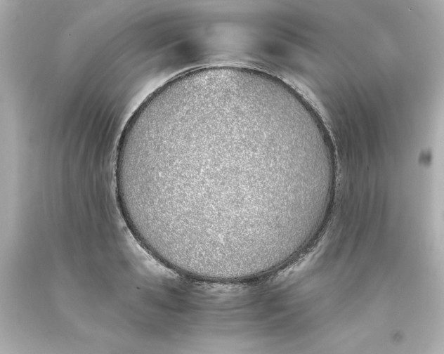 X0000093390941200711011308