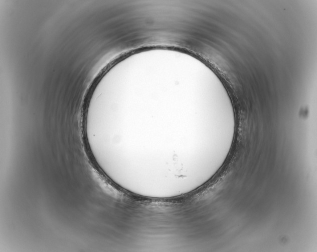 X0000093390942200711011308