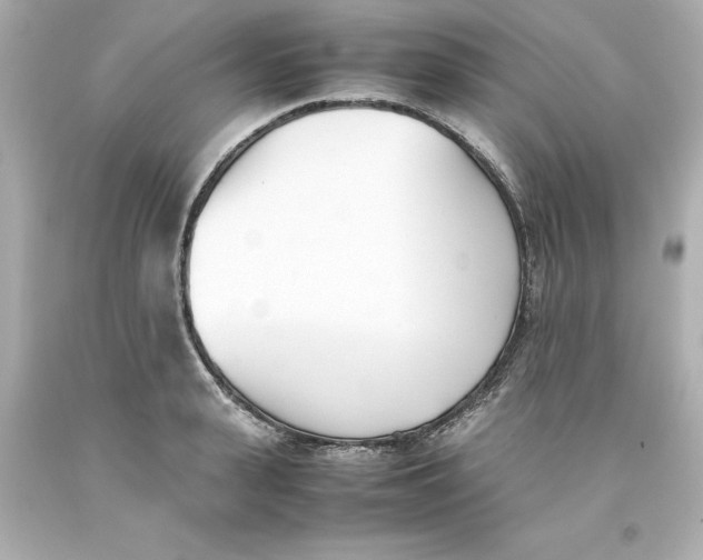 X0000093390943200711011308