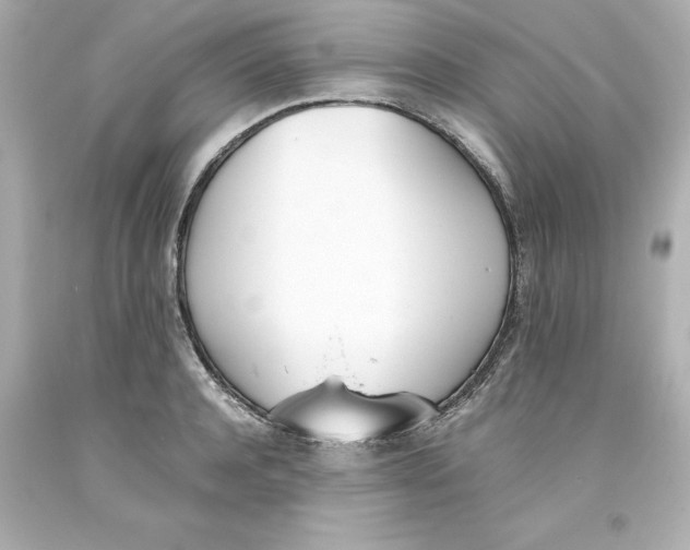 X0000093390944200711011308