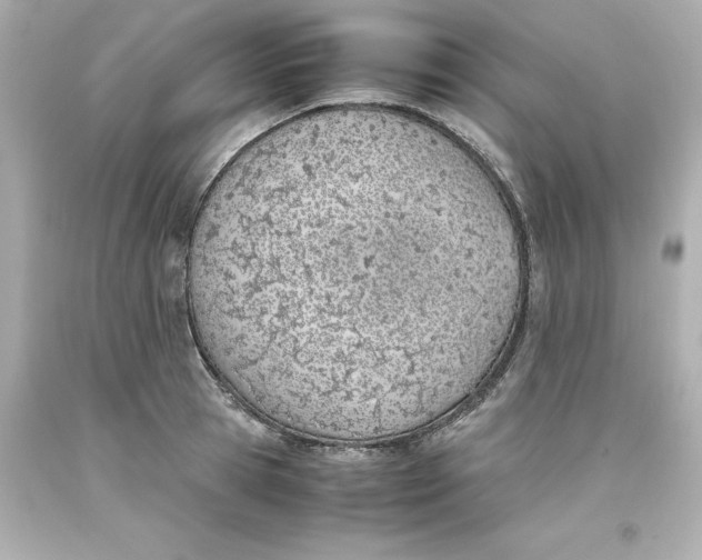 X0000093390945200711011308