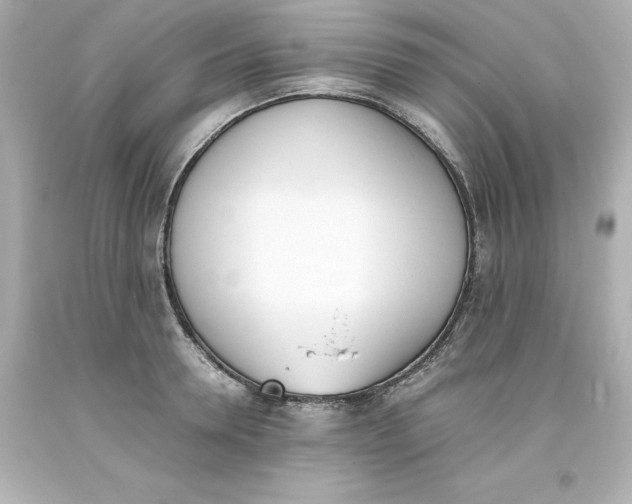 X0000093390946200711011308