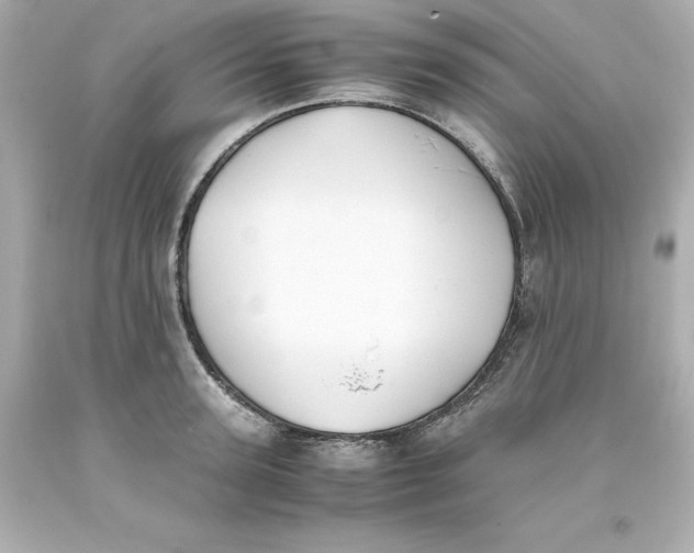 X0000093390947200711011308