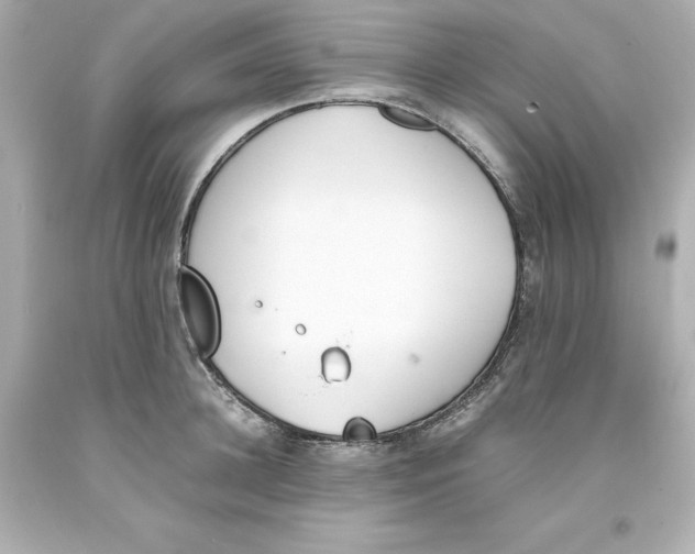 X0000093390948200711011308