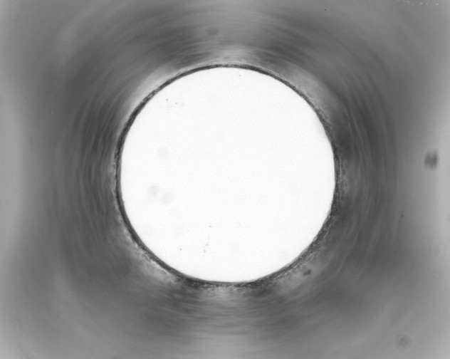 X0000093390950200711011308