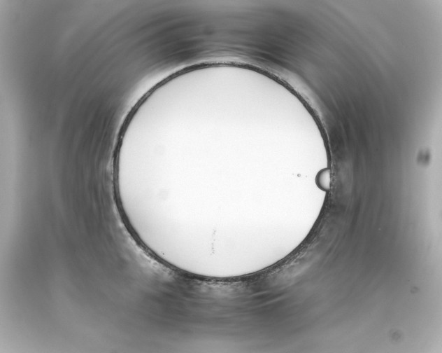 X0000093390951200711011308