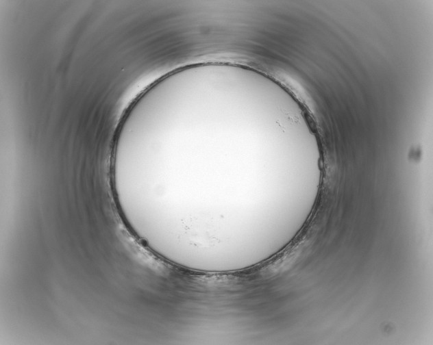 X0000093390952200711011308