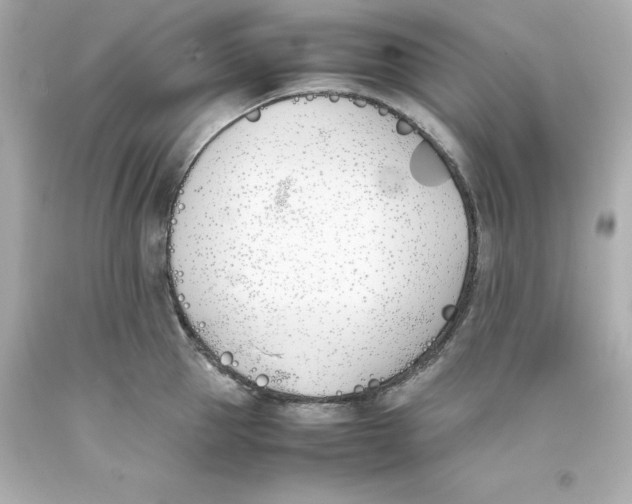 X0000093390953200711011308