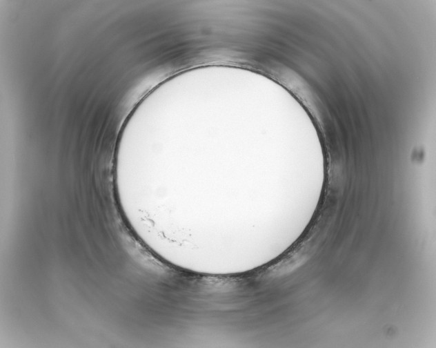 X0000093390954200711011308