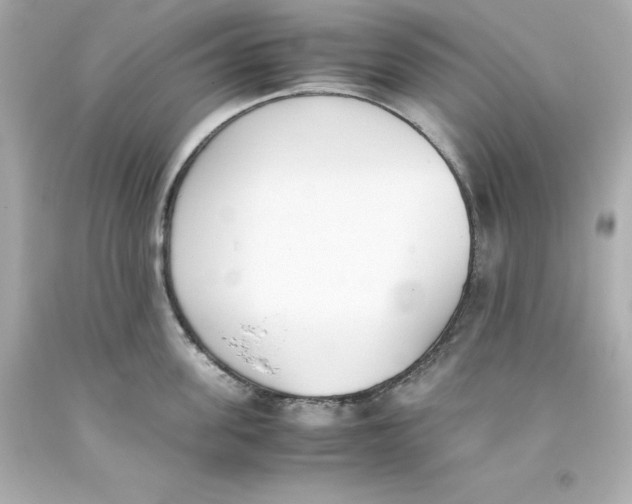 X0000093390955200711011308