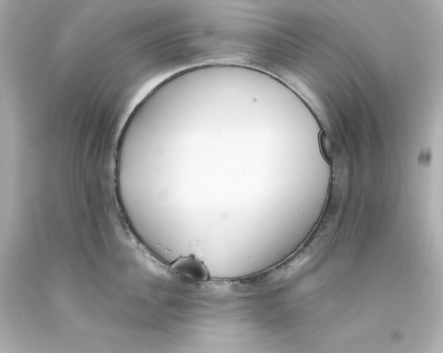 X0000093390956200711011308