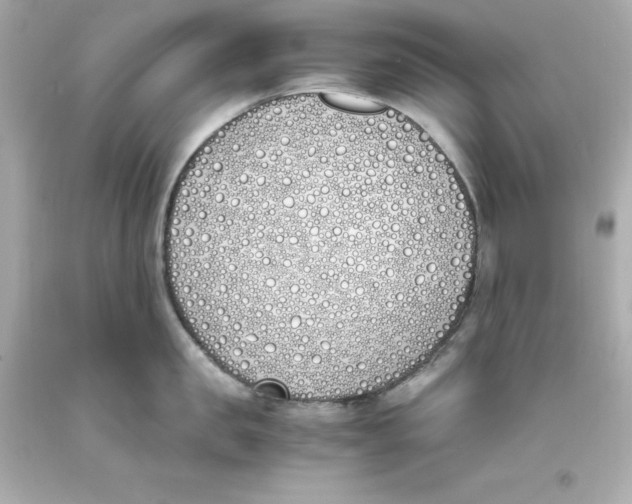 X0000093390957200711011308