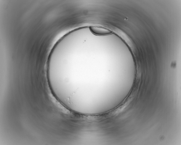 X0000093390958200711011308