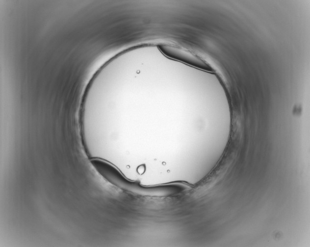 X0000093390959200711011308