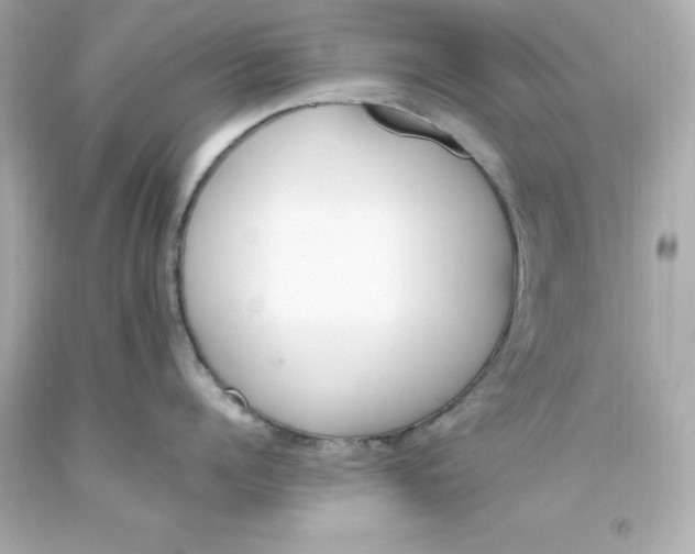 X0000093390960200711011308